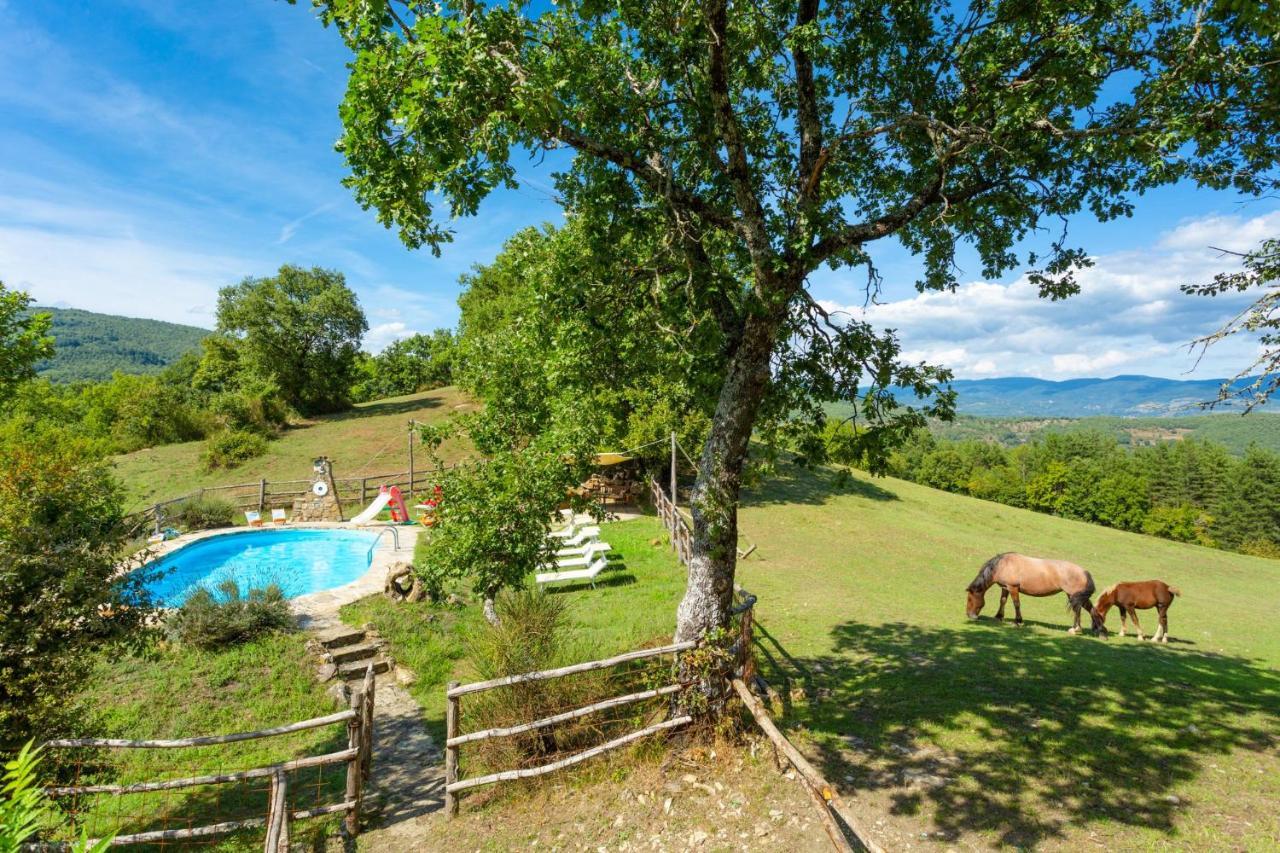 Villa Bellavista Arezzo Exterior foto